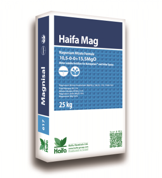 Haifa Mag 0